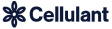 Global Enterprise Technology Partner
