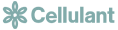 Client Transformation Case Study